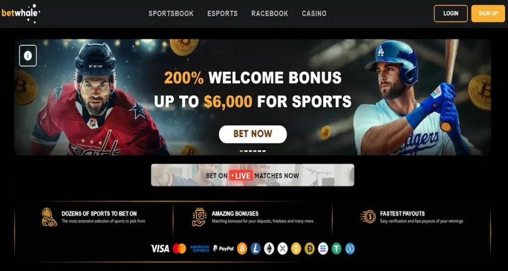 BetWhale sportsbook interface – crypto-friendly offshore betting site with fast payouts
